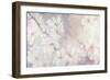 Cherry Blossoms-Julia Purinton-Framed Art Print