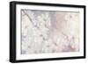 Cherry Blossoms-Julia Purinton-Framed Art Print