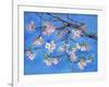 Cherry Blossoms-Sharon Pitts-Framed Giclee Print