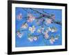 Cherry Blossoms-Sharon Pitts-Framed Giclee Print