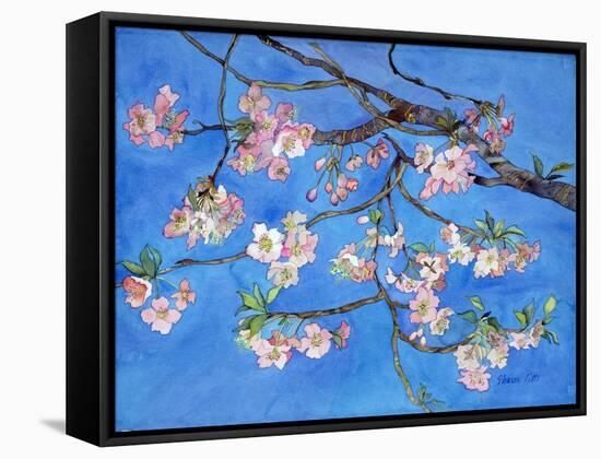 Cherry Blossoms-Sharon Pitts-Framed Stretched Canvas