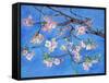 Cherry Blossoms-Sharon Pitts-Framed Stretched Canvas