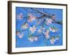 Cherry Blossoms-Sharon Pitts-Framed Giclee Print