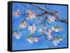 Cherry Blossoms-Sharon Pitts-Framed Stretched Canvas