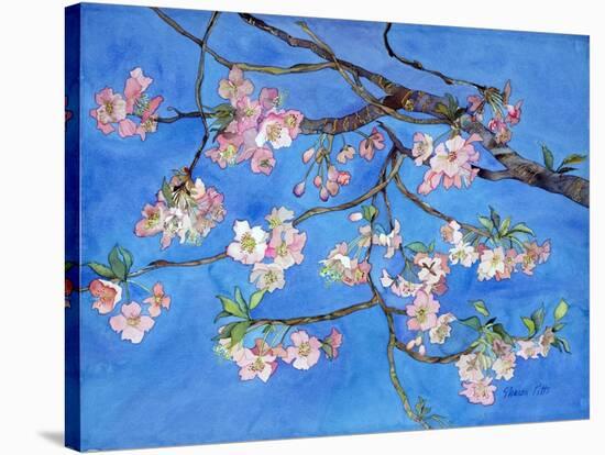 Cherry Blossoms-Sharon Pitts-Stretched Canvas