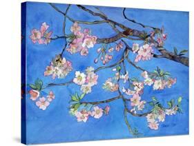 Cherry Blossoms-Sharon Pitts-Stretched Canvas