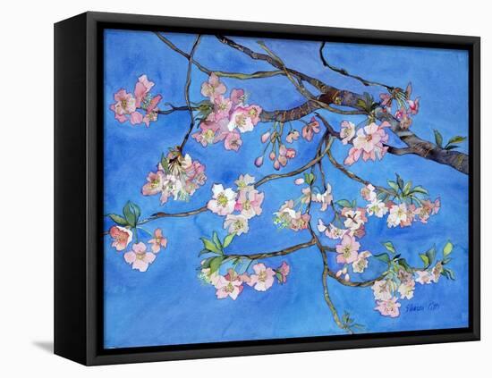 Cherry Blossoms-Sharon Pitts-Framed Stretched Canvas
