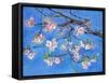 Cherry Blossoms-Sharon Pitts-Framed Stretched Canvas