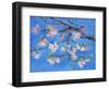 Cherry Blossoms-Sharon Pitts-Framed Giclee Print