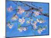 Cherry Blossoms-Sharon Pitts-Mounted Giclee Print