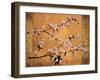 Cherry Blossoms-Erin Lange-Framed Art Print