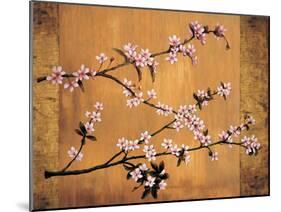 Cherry Blossoms-Erin Lange-Mounted Art Print