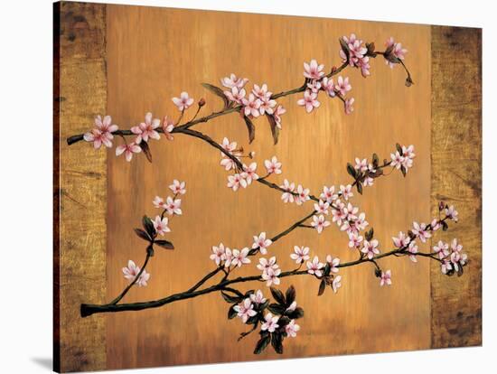 Cherry Blossoms-Erin Lange-Stretched Canvas