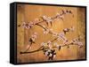 Cherry Blossoms-Erin Lange-Framed Stretched Canvas