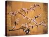 Cherry Blossoms-Erin Lange-Stretched Canvas