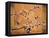 Cherry Blossoms-Erin Lange-Framed Stretched Canvas