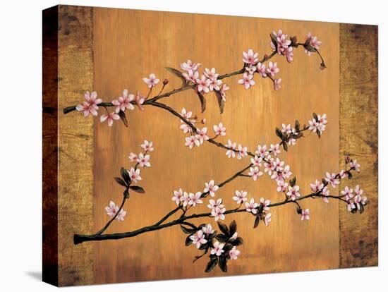 Cherry Blossoms-Erin Lange-Stretched Canvas