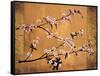 Cherry Blossoms-Erin Lange-Framed Stretched Canvas