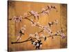 Cherry Blossoms-Erin Lange-Stretched Canvas