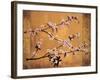 Cherry Blossoms-Erin Lange-Framed Art Print