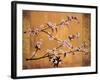 Cherry Blossoms-Erin Lange-Framed Art Print