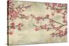 Cherry Blossoms-John Seba-Stretched Canvas