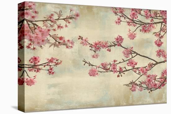 Cherry Blossoms-John Seba-Stretched Canvas