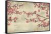 Cherry Blossoms-John Seba-Framed Stretched Canvas