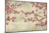 Cherry Blossoms-John Seba-Mounted Premium Giclee Print