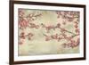 Cherry Blossoms-John Seba-Framed Art Print