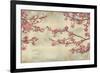 Cherry Blossoms-John Seba-Framed Art Print