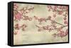 Cherry Blossoms-John Seba-Framed Stretched Canvas