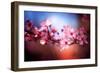 Cherry Blossums 6-Philippe Sainte-Laudy-Framed Photographic Print