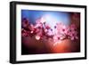 Cherry Blossums 6-Philippe Sainte-Laudy-Framed Photographic Print