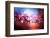Cherry Blossums 6-Philippe Sainte-Laudy-Framed Photographic Print