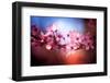 Cherry Blossums 6-Philippe Sainte-Laudy-Framed Photographic Print