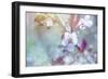 Cherry Blu 07-LightBoxJournal-Framed Giclee Print