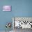 Cherry Blu Pattern 01-LightBoxJournal-Giclee Print displayed on a wall