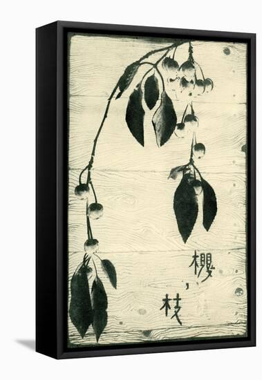 Cherry Branch-Virna Haffer-Framed Stretched Canvas