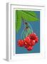 Cherry Branch-Lantern Press-Framed Art Print
