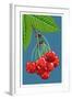 Cherry Branch-Lantern Press-Framed Art Print