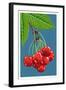 Cherry Branch-Lantern Press-Framed Art Print