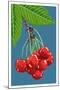 Cherry Branch-Lantern Press-Mounted Art Print