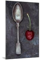 Cherry Delight-Den Reader-Mounted Photographic Print