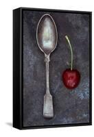 Cherry Delight-Den Reader-Framed Stretched Canvas