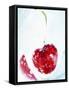 Cherry Frozen in a Block of Ice-Dieter Heinemann-Framed Stretched Canvas