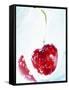 Cherry Frozen in a Block of Ice-Dieter Heinemann-Framed Stretched Canvas