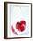 Cherry Frozen in a Block of Ice-Dieter Heinemann-Framed Photographic Print