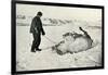 'Cherry-Garrard Giving His Pony 'Michael' A Roll in the Snow', c1911, (1913)-Herbert Ponting-Framed Photographic Print