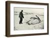 'Cherry-Garrard Giving His Pony 'Michael' A Roll in the Snow', c1911, (1913)-Herbert Ponting-Framed Photographic Print